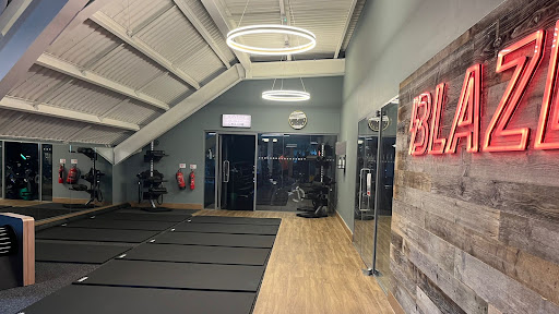 David Lloyd Acton Park