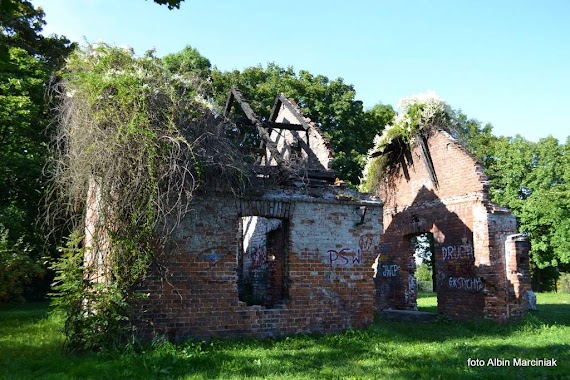 Ruiny obiektów obozowych, Author: Albin Marciniak