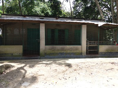 Photos of Balla Jame Masjid