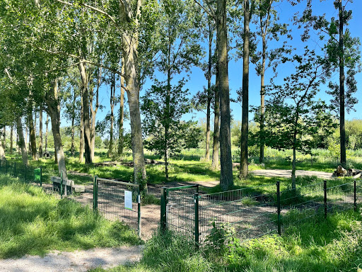 Hondenspeelterrein Hitland-Noord - Thumbnail