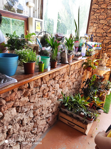 Adela Sánchez Jardinería - Thumbnail