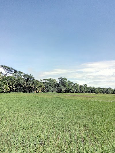 Photos of Palgiri Mazir Dokan