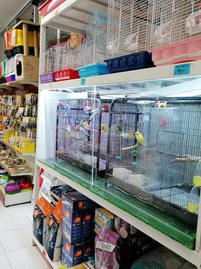 Arkadas Pet Shop