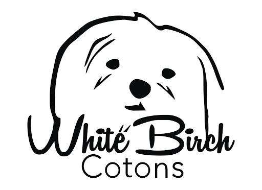 White Birch Cotons - Thumbnail