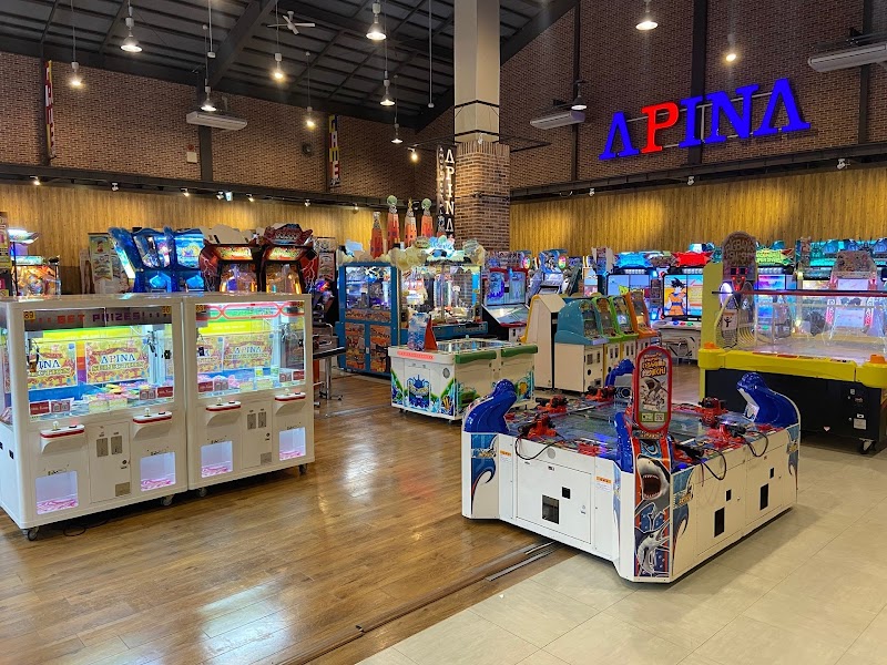 アピナ 各務原店