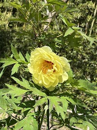 宮崎兄弟資料館