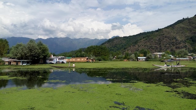 Dal Lake