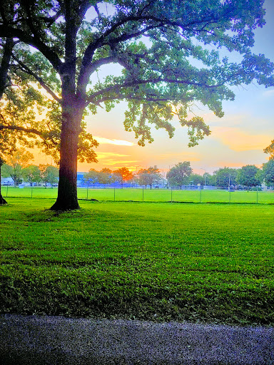 Nowell Park - Visual