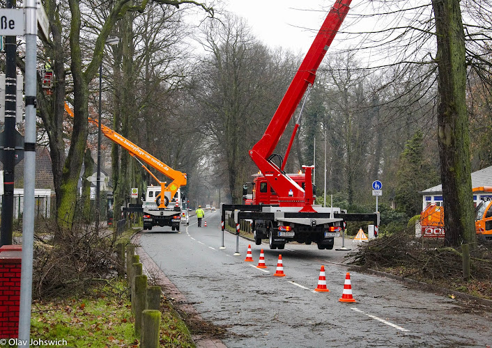 Hanseatic Treework GmbH & Co. KG photo