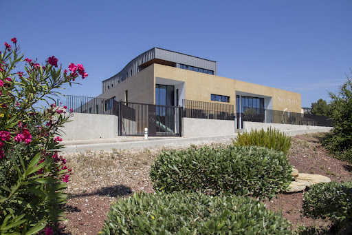 Veterinary Clinic Olliolis