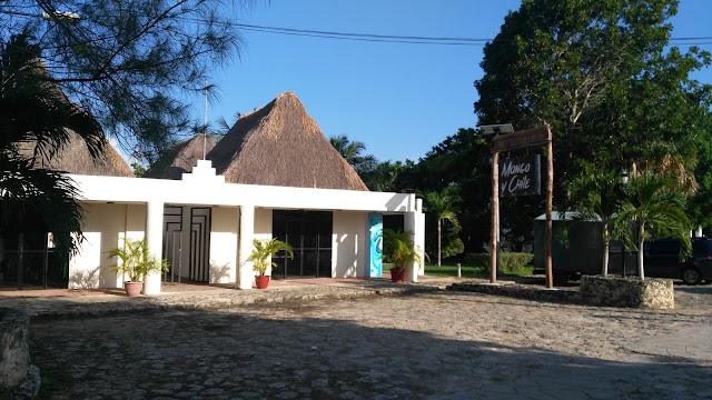 Bacalar