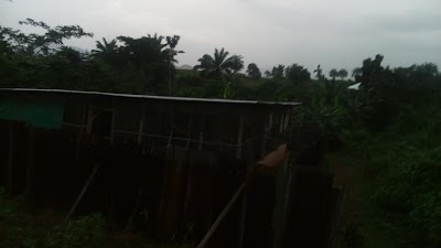 Photos of Morkem Farms
