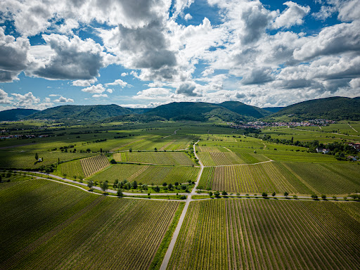 Drohnenservice-Pfalz