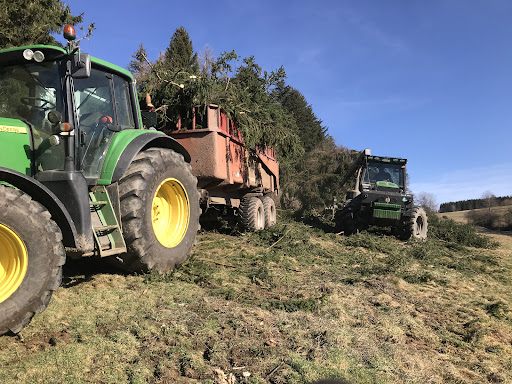 Lescher Forst