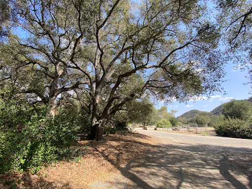 Starr Mesa Equestrian Campground at Caspers Wilderness Park - Thumbnail