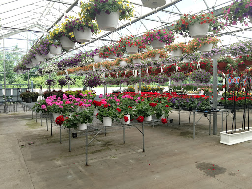 Gullo's Garden Center - Thumbnail