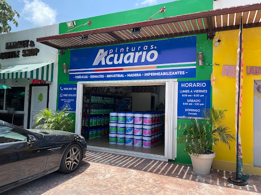Pinturas Acuario Cancun Cumbres