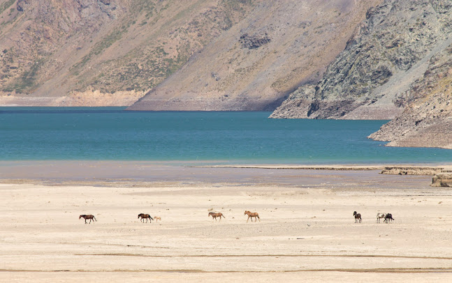 Ecochile & Ecoargentina Travel - Agencia de viajes