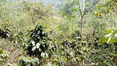 Photos of GIVE Garden