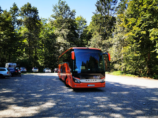 Omnibus Held - Visual