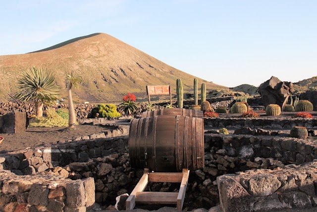 Museo el Grifo