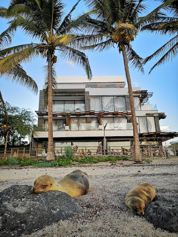 Golden Bay Galapagos by null