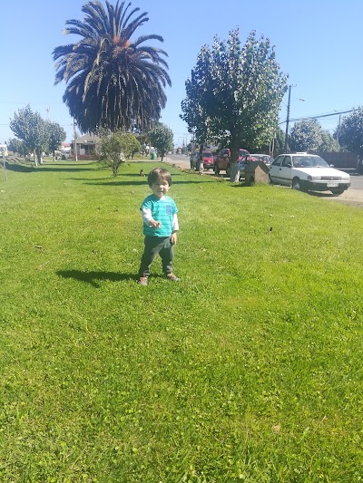 Photos of El Copihue