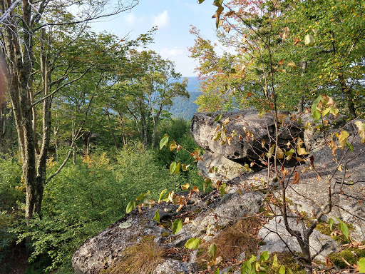 Bear Heaven Recreation Area - Thumbnail