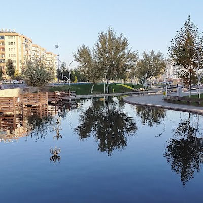 Park pond