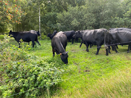 Landgoed Zorg & Natuur - Thumbnail