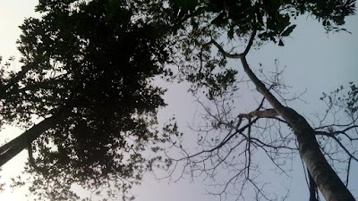 Photos of Finca El Indio