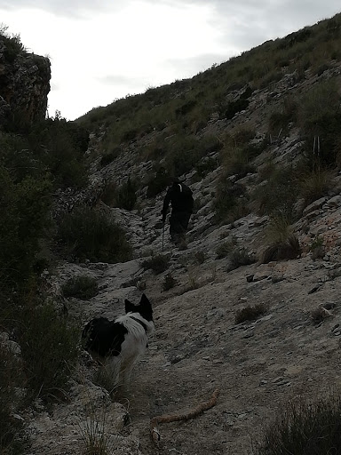 Parking Jumilla La Graja - Thumbnail
