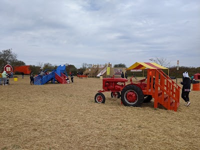 Green Meadows Farm Brooklyn