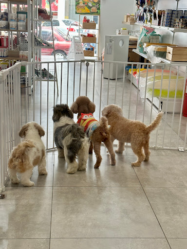 Dou Dou Pet Shop