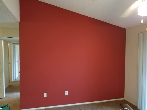 Professional Painter Cleaner and Repair, LLC - Thumbnail