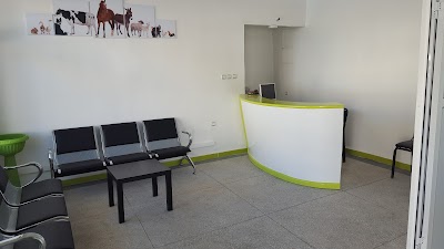 Photos of Cabinet V&eacute;t&eacute;rinaire El Gharb