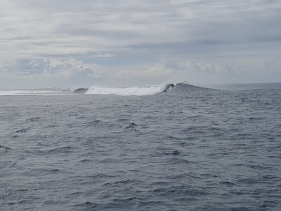 Photos of Frigates Reef