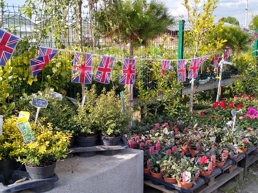 Trade Only Plant Sales Ltd. - Thumbnail