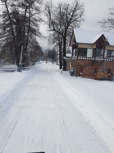 Ilsenburg - Visual