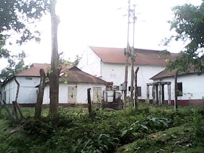 Photos of Prem Nogor Tea Garden