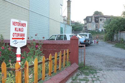 Photos of BARTIN &Ccedil;AĞDAŞ PET VETERİNER KLİNİĞİ