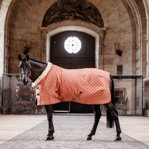 Sellerie E.H.C Magasin d'équipement d'équitation à Lunel-Viel - Thumbnail