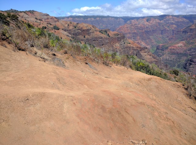 Iliau Nature Loop & Kukui Trail