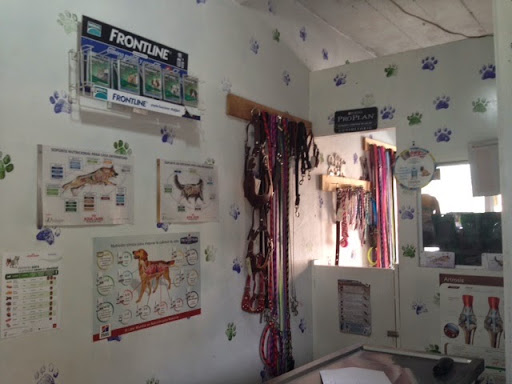 Pet's Habitat