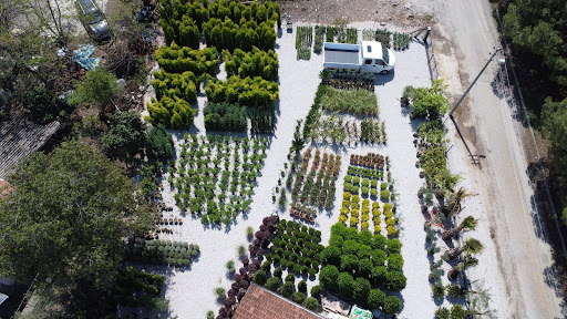 Meşe Peyzaj Fethiye