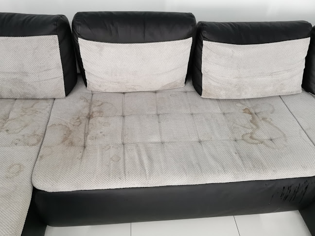 Pro Clean | Pranie tapicerki samochodowej | meblowej | Autodetailing Chełm (wjazd w bramę) - Myjnia samochodowa