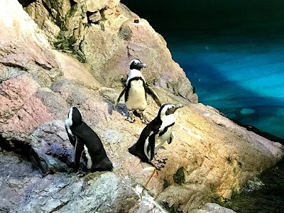 New England Aquarium