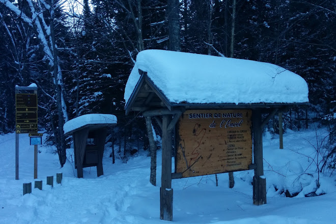 Visit Ski Montagne Coupee On Your Trip To Saint Jean De Matha