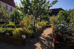 Photo n°7 de Maison des Sancerre à Sancerre (Musée)