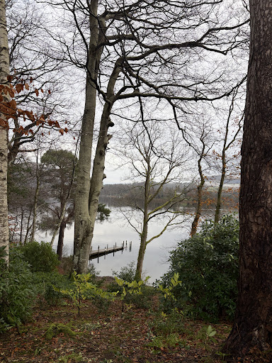 Fellside Sauna Lingholm